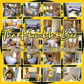 The Humble Bee