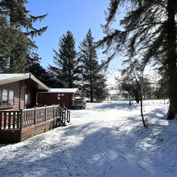 Secluded Pine Lodge 1