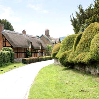 Walnut Tree Cottage