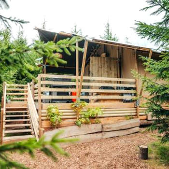 Cosy Forest Lodge