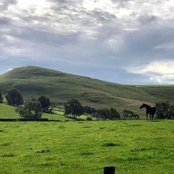 The Homestead - Modern cottage in a stunning Peak District setting