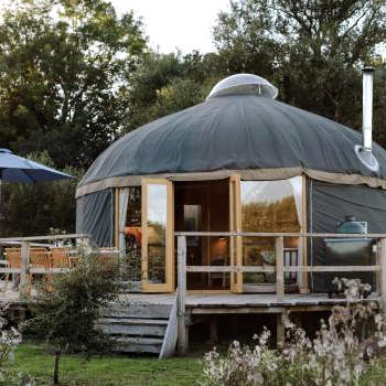 Tree Field Yurt at Moor Farm