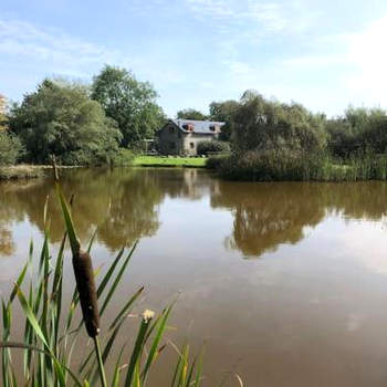 Rhedyn - Cosy Fishing Lodge Near Aberaeron