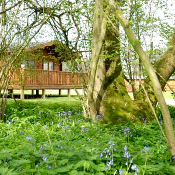 South Winchester Lodges