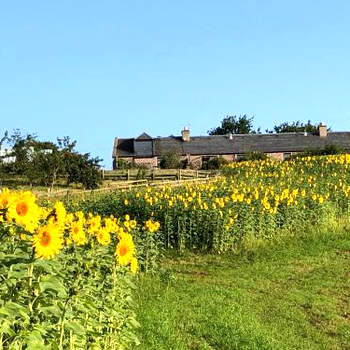 Garden Bank Cottage