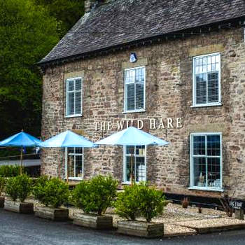 The Wild Hare Tintern