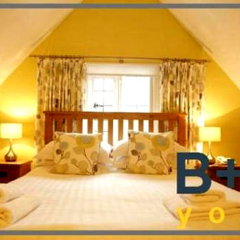 B+B York