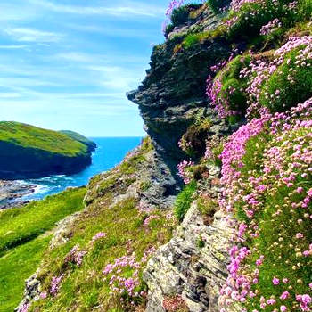 Polrunny Farm Blackberry Cottage - Cornwall bliss in sight of the sea