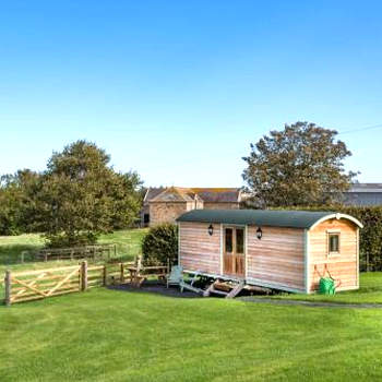 Teasel Shepherd's Hut