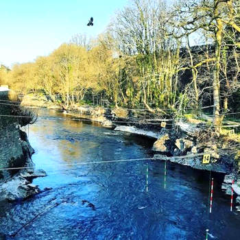 Selah Teifi stunning river view
