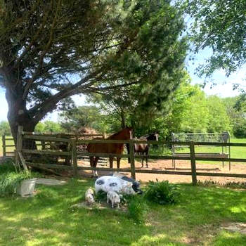 A Unique & Tranquil Smallholding Retreat